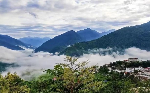 ��ҳ| 6008���Źٷ���վ���޹�˾