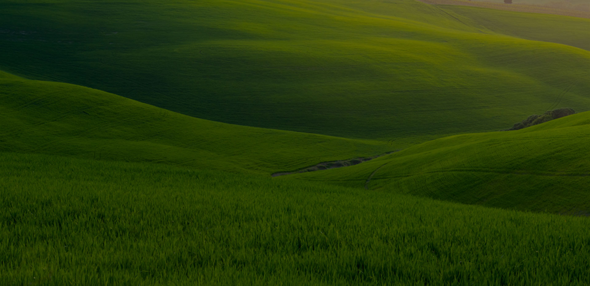 ��ҳ| 6008���Źٷ���վ���޹�˾