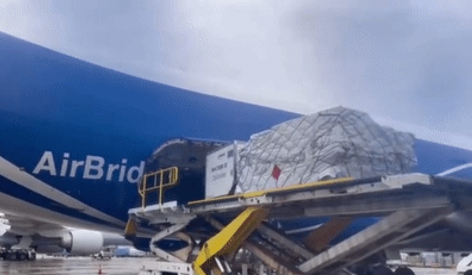 ��ҳ| 6008���Źٷ���վ���޹�˾